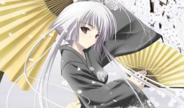 人物 动漫,动漫人物传奇之旅